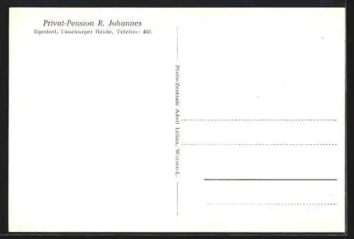 AK Egestorf /Lüneburger Heide, Privat-Pension R. Johannes