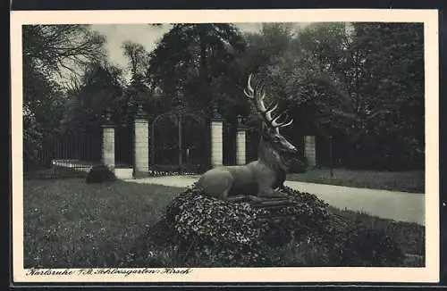 AK Karlsruhe i. B., Hirsch im Schlossgarten