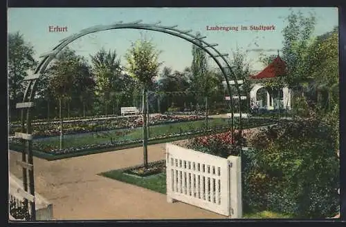 AK Erfurt, Laubengang im Stadtpark