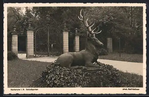 AK Karlsruhe i. B., Schlossgarten mit Hirschstatue