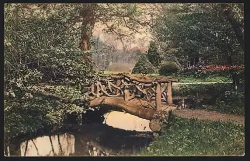 AK Donaueschingen, Brücke im fürstl. Park