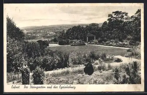 AK Erfurt, Steingarten auf der Cyriaksburg