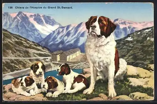 AK Grand St. Bernard, Cheins de l`Hospice