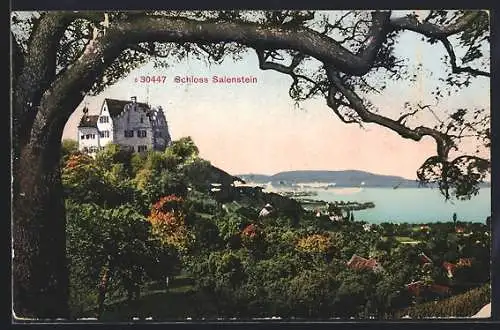 AK Salenstein, Schloss Salenstein