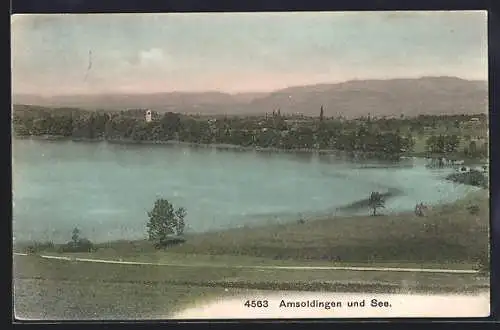 AK Amsoldingen, Blick über den See