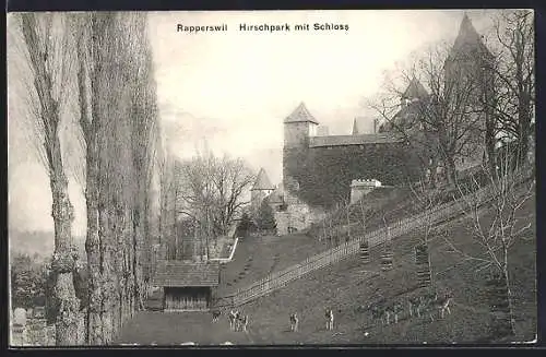 AK Rapperswil, Hirschpark mit Schloss