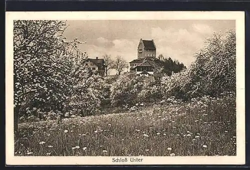 AK Uster, Schloss mit blühenden Bäumen