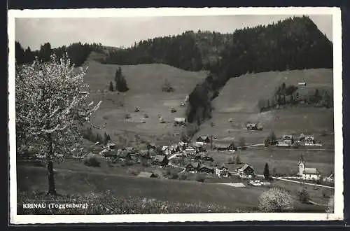 AK Krinau /Toggenburg, Ortsansicht mit blühenden Bäumen