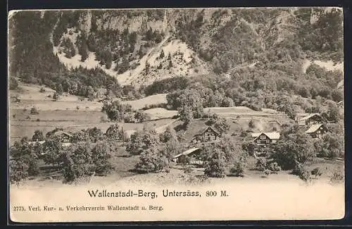 AK Wallenstadt-Berg, Blick auf die Alp Untersäss