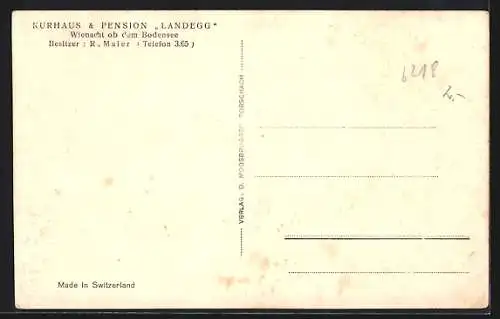 AK Rorschach, Pension Landegg von R. Maier, Panorama