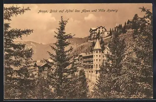 AK Arosa, Blick auf Hotel des Alpes und Villa Herwig