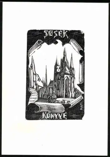 Exlibris Susek, Stadtansicht mit Kathedrale