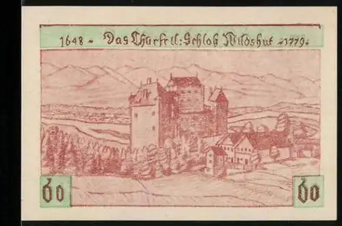 Notgeld St. Pantaleon 1920, 60 Heller, Schloss Wildshut und Landschaftsmotiv