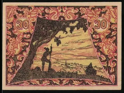 Notgeld Seewalchen am Attersee 1920, 30 Heller, Mann mit Fernglas auf Baum, Stadtansicht im Hintergrund