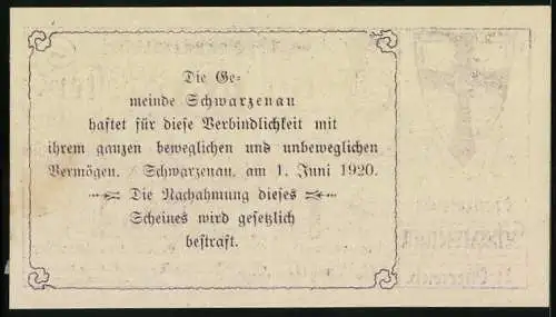 Notgeld Schwarzenau 1920, 10 Heller, Stadtansicht und Wappen