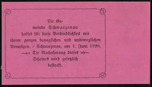 Notgeld Schwarzenau 1920, 30 Heller, Stadtansicht und Wappen der Gemeinde Schwarzenau