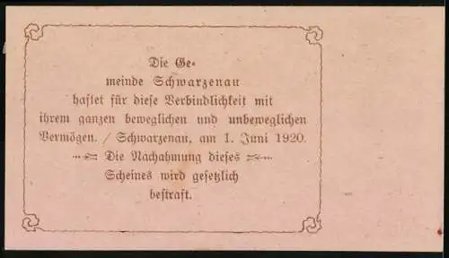 Notgeld Schwarzenau 1920, 20 Heller, Stadtansicht und Wappen der Gemeinde Schwarzenau