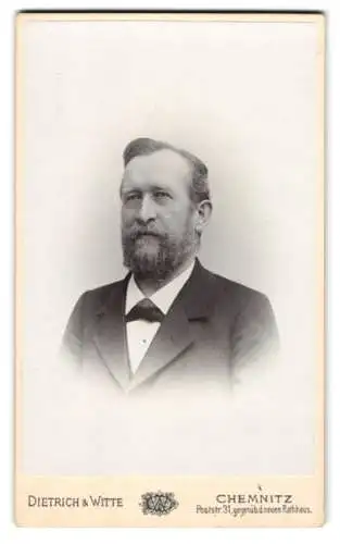 Fotografie Dietrich & Witte, Chemnitz, Portrait Regierungsrat Professor Dr. Kirsch (1841-1901) im Anzug