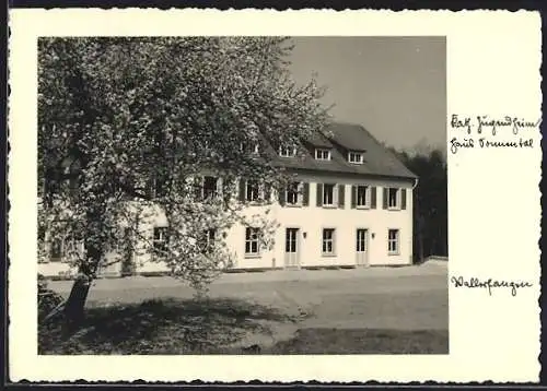 AK Wallerfangen, Kath. Jugendheim, Haus Sonnental in der Frühlingssonne