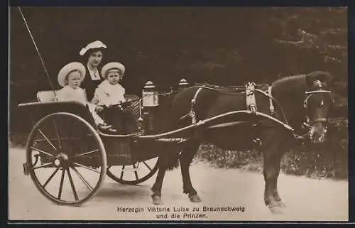 AK Victoria Louise Herzogin von Braunschweig und die Prinzen in einer Kutsche