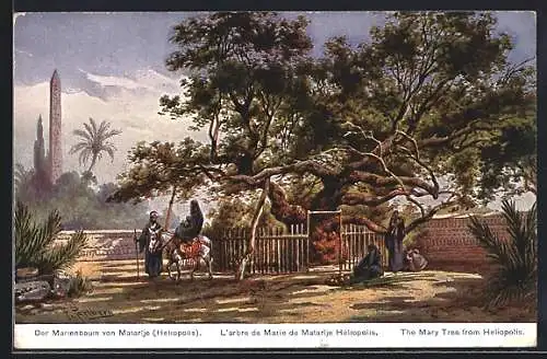 Künstler-AK Heliopolis, The Mary Tree, Marienbaum