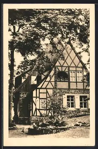 AK Neustadt /Südharz, Ruine Hohnstein, Gasthaus