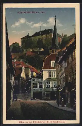 AK Blankenburg / Harz, Blick von der Tränkestrasse nach dem Schloss