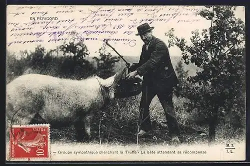 AK En Périgord, Groupe sympathique cherchant la truffe, La bête attendant sa récompense, Mann mit Trüffelschwein