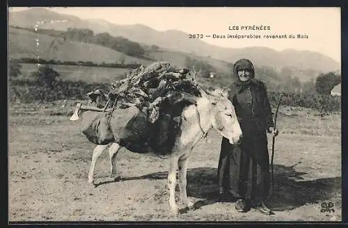 AK Les Pyrénées - Deux inséparables revenant du Bois, Holzsammlerin mit Packesel