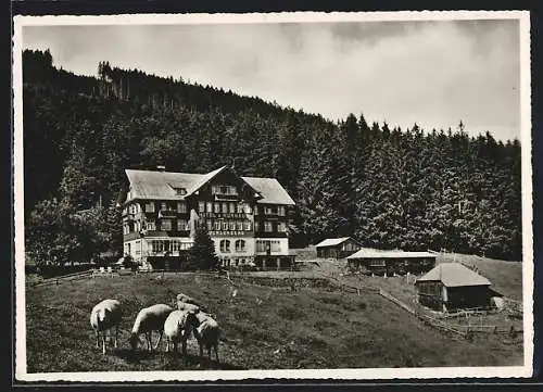 AK Buchs /SG, Hotel & Kurhaus Buchserberg