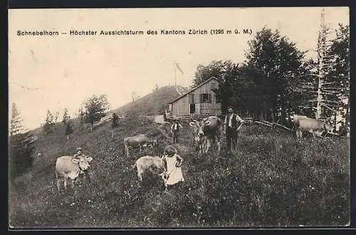 AK Schnebelhorn /Zürich, Gasthaus mit Kuhweide und Gipfel