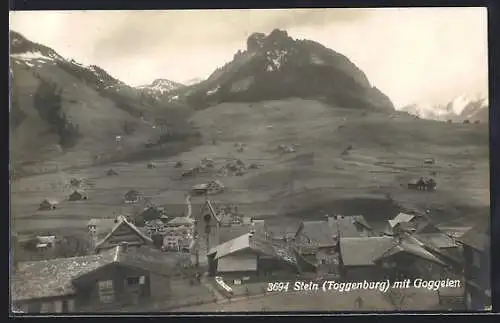 AK Stein /Toggenburg, Ortsansicht mit Goggeien aus der Vogelschau