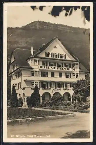 AK Weggis, Hotel Schweizerhof