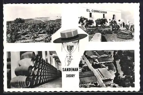 AK Jerez de la Frontera, Bodega Sandemann, Sherryherstellung