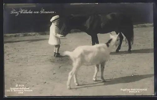 AK Prinz Wilhelm von Preussen füttert ein Pony