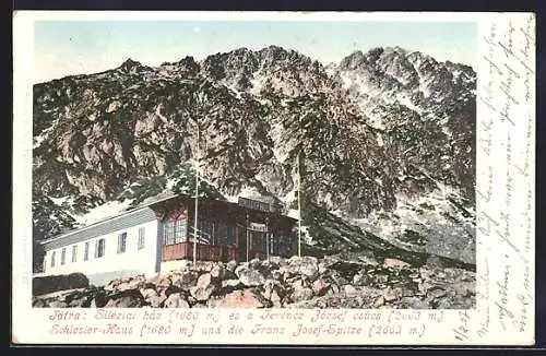 AK Schlesierhaus-Berghütte und die Franz-Josef-Spitze