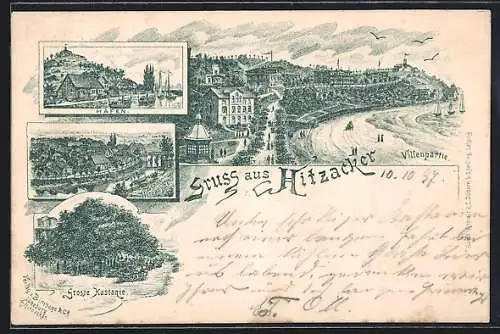 Lithographie Hitzacker, Villenpartie, Hafen, Ortsansicht, Grosse Kastanie