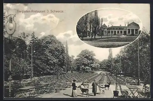AK Hannover-Kirchrode, Tiergarten-Restaurant J. Schwarze mit Garten und zahmen Wildtieren