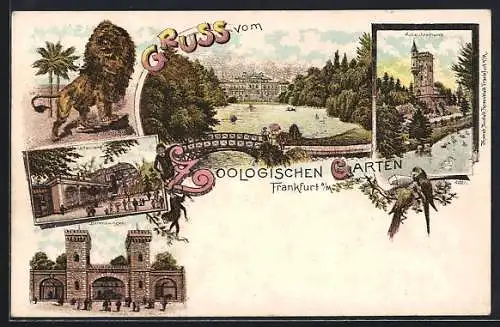Lithographie Frankfurt, Zoologischer Garten, Bärenzwinger, Affenhaus, Aussichtsturm, Löwe