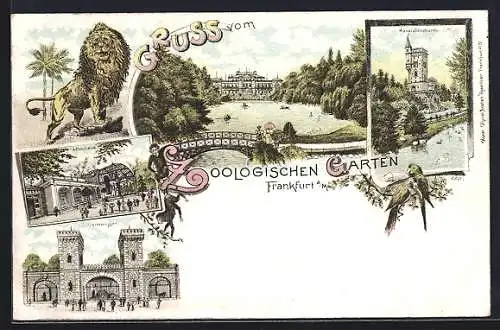 Lithographie Frankfurt a. Main, Zoologischer Garten, Affenhaus, Bärenzwinger, Aussichtsturm