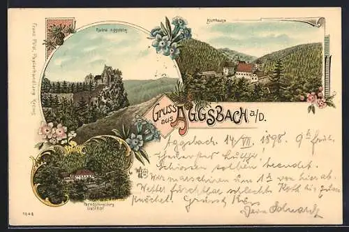 Lithographie Aggsbach a. D., Ruine Aggstein, Karthause, Paredschneiders Gasthof