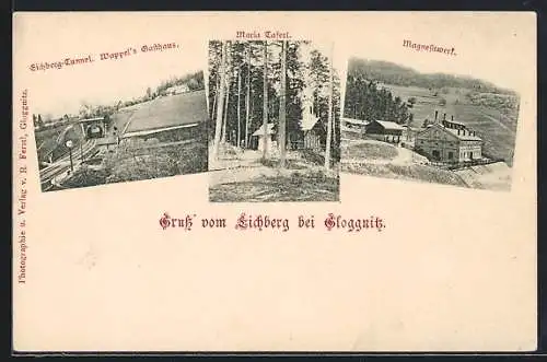 AK Gloggnitz /N.-Oe., Eichberg, Eichberg-Tunnel und Wappel`s Gasthaus, Maria Taferl, Magnesitwerk