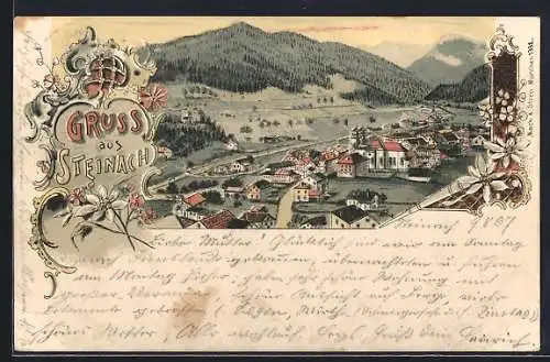 Lithographie Steinach, Ortsansicht aus der Vogelschau