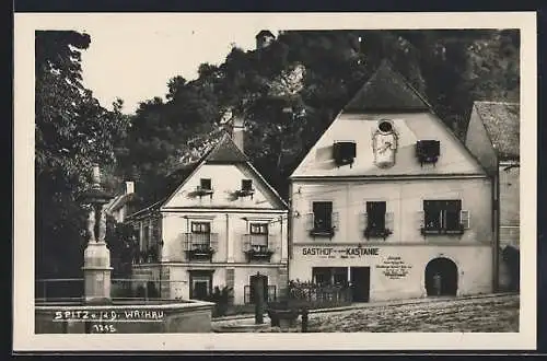 AK Spitz a. d. D., Gasthof zur grossen Kastanie mit Brunnen