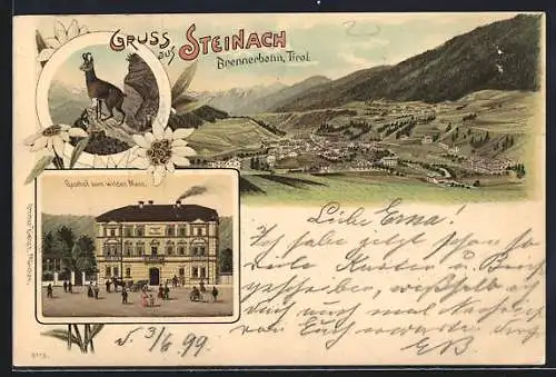 Lithographie Steinach /Brennerbahn, Gasthof zum Wilden Mann, Ortspanorama, Gämse und Edelweiss