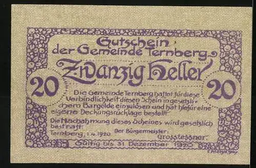 Notgeld Ternberg 1920, 20 Heller, Landschaft mit Gebäuden und Textdekor