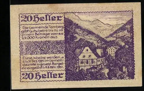 Notgeld Ternberg 1920, 20 Heller, Landschaft mit Gebäuden und Bergen im Hintergrund