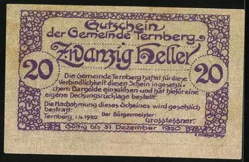 Notgeld Ternberg 1920, 20 Heller, Landschaft mit Gebäuden und Bergen im Hintergrund