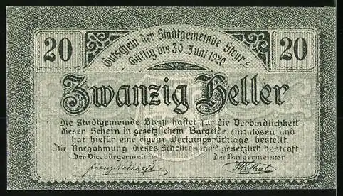 Notgeld Steyr 1919, 20 Heller, Löwenwappen und dekorative Schriftzüge