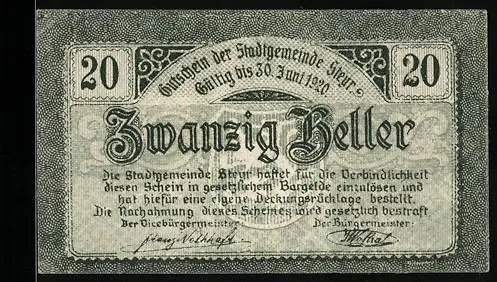 Notgeld Steyr 1919, 20 Heller, Löwenwappen, gültig bis 30. Juni 1920